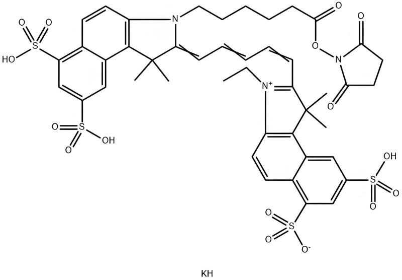 CY5.5 NHS 에스테르
