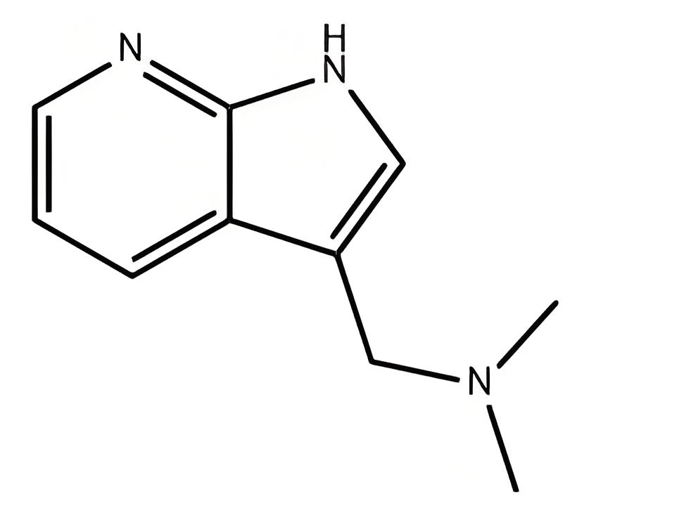 N,N-dimethyl(1H-pyrrolo[2,3-b]pyridin-3-yl)methanamine