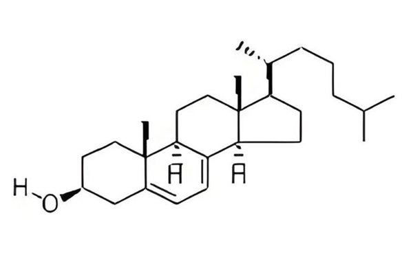 Plant-Derived 7-Dehydrocholesterol: Ushering in a New Era of Vitamin D3 Synthesis