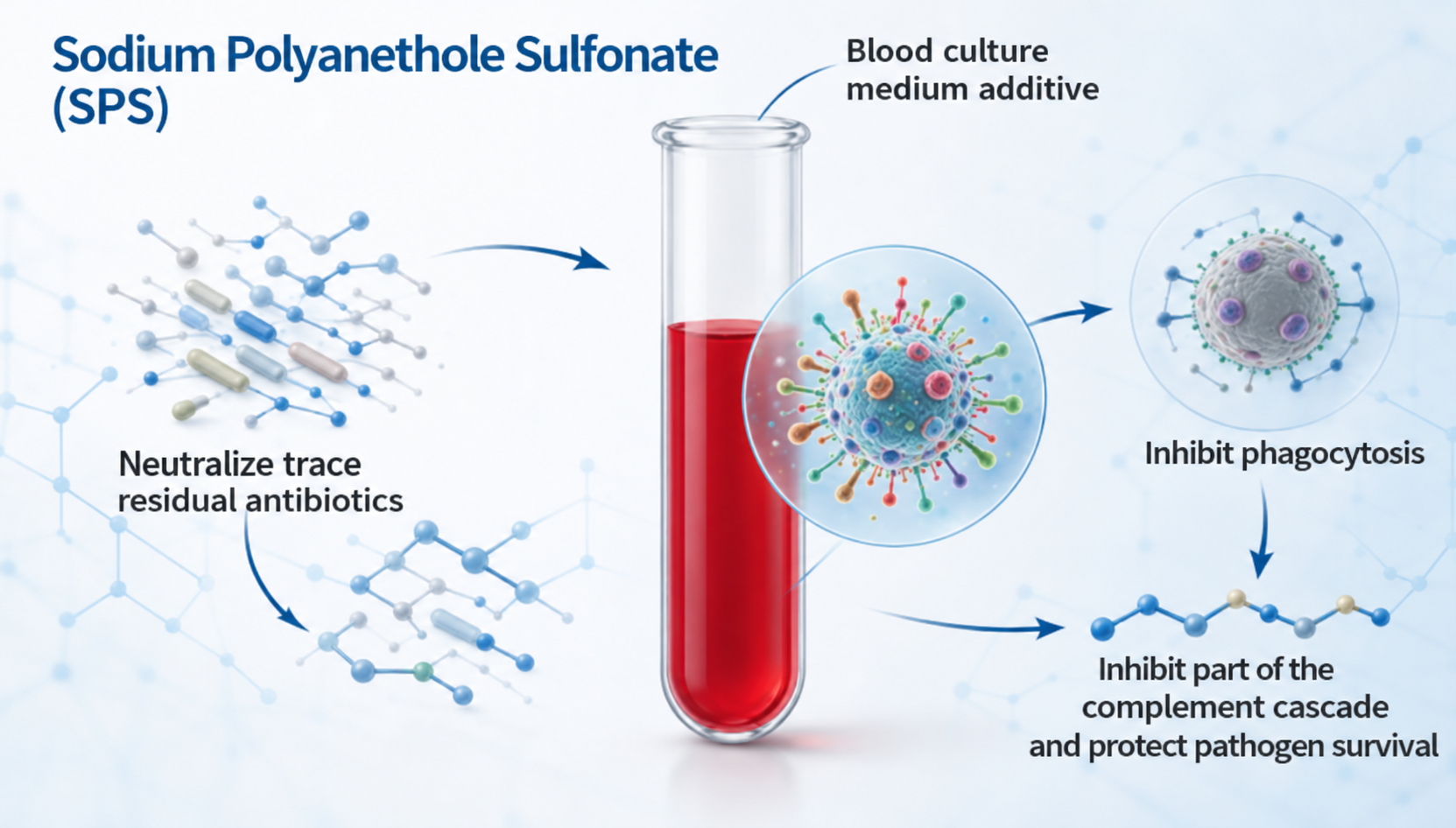 Sodium Polyanethole Sulfonate (SPS) in Blood Culture: A Key Additive for Reliable Pathogen Detection
